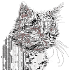 ASCII Cat