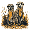 Two meerkats