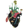 Anatomical Heart And Flowers