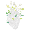Anatomical Heart And Flowers