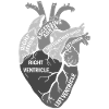 Parts Of Heart