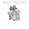 Parts Of Heart