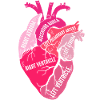 Parts Of Heart