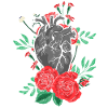 Cœur anatomique et fleurs