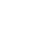 African elephant head