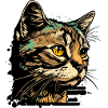 Mimi le chat