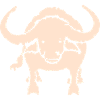 Buffalo