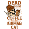 Coffee Birman-cat lover