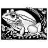 Frog in luck