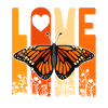 Monarch butterfly American monarch butterfly