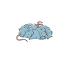 Rat Owner Gift Rats Lover