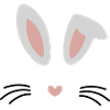 Hasen Gesicht