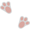 Pattes de lapin