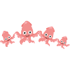 squid,family,sepia,squid family