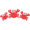 Crayfish,Family,Cancer family,Marine animals