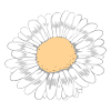 Fleur blanche