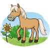 Drôle de cheval sur prairie