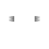 Muay Thai Boxe MMA