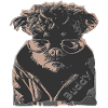 Buddy der coolste Hund ever!