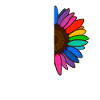 Inclusion Acceptance Kindness Solidarity