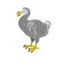 Dodo de Dodo