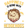 Hedgehog luck spiny