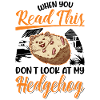 Igel Geschenk Stacheligel