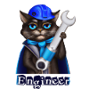 Cat Engineer
