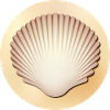 Shell (sand, round)