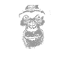 Guinée - Chimpanzé
