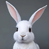 Cute Easter