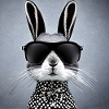 Cooler Hase mit Sonnenbrulle