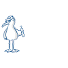 Coole Möwe = volle Granate