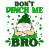 Saint Patrick's Day-St.Patrick's Day