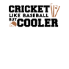 Cricket Racket Sports