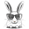 Rabbit White Sunglasses