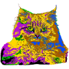 Bunte Katze