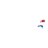 Heartbeat netheland flag