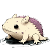 Axolotl