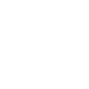 American Underwriter USA Flag