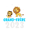 grand-frère 2023 grossesse - lion