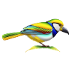 Beautiful bird