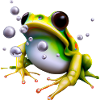 Frog Water Drops