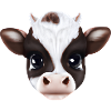 Cute cow face - Farm