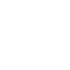 American Insurance Broker USA