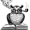 The Clever Owl
