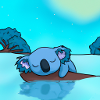 Koaler in the water