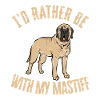 Mastiff Chien Vieux Mastiff anglais