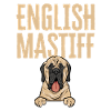 Mastiff Dog Old English Mastiff