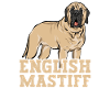 Mastiff Chien Vieux Mastiff anglais